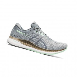 Chaussure Running Asics EVORIDE Femme Grise | QYBG02351