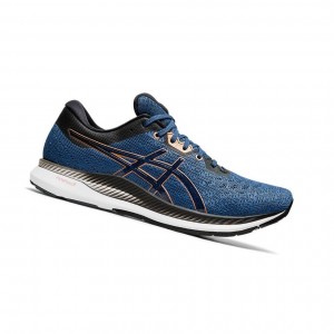 Chaussure Running Asics EVORIDE Homme Bleu Foncé | BPVU27054