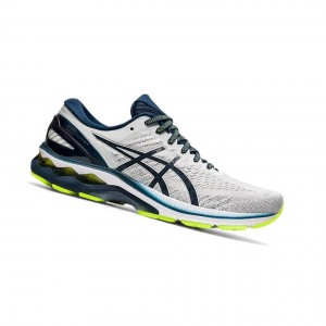 Chaussure Running Asics GEL-KAYANO 27 Homme Grise | BOZS36508