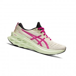 Chaussure Running Asics NOVABLAST 2 Femme Beige | DRJN57420