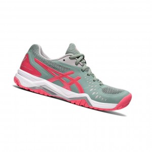 Chaussure Tennis Asics GEL-CHALLENGER 12 Femme Grise | MXKZ40716