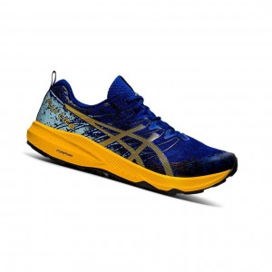 Chaussure Trail Running Asics FUJI LITE 2 Homme Bleu | GLYU90825