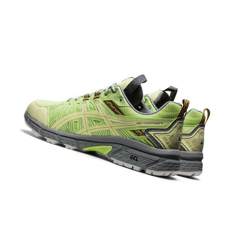 Basket Asics HN1-S GEL-VENTURE 7 Homme Vert Clair | ECMI96217