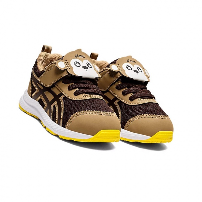 Chaussure Running Asics CONTEND 7 TODDLER Enfant Cafe Cafe | ABLO46387