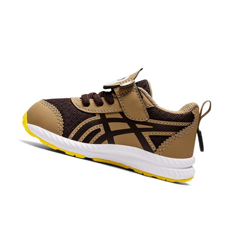 Chaussure Running Asics CONTEND 7 TODDLER Enfant Cafe Cafe | ABLO46387