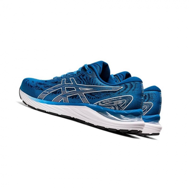 Chaussure Running Asics GEL-CUMULUS 23 Homme Bleu | NZAG26510