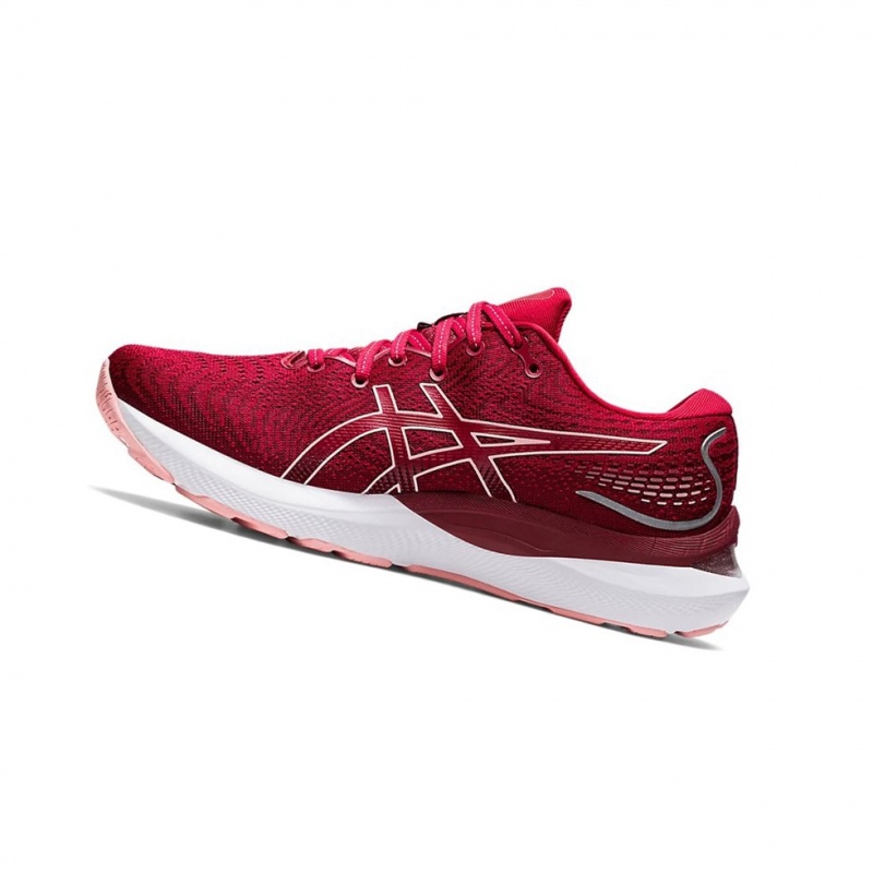 Chaussure Running Asics GEL-CUMULUS 24 Femme Rose | JMYO25068