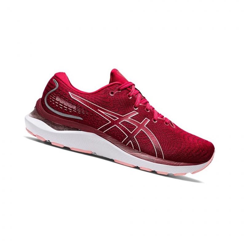 Chaussure Running Asics GEL-CUMULUS 24 Femme Rose | JMYO25068