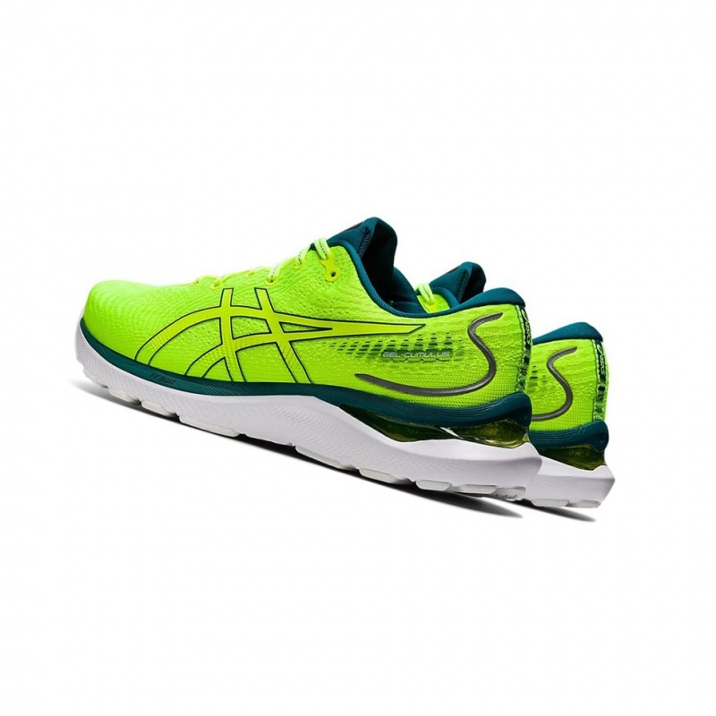 Chaussure Running Asics GEL-CUMULUS 24 Homme Jaune | JXVH95201