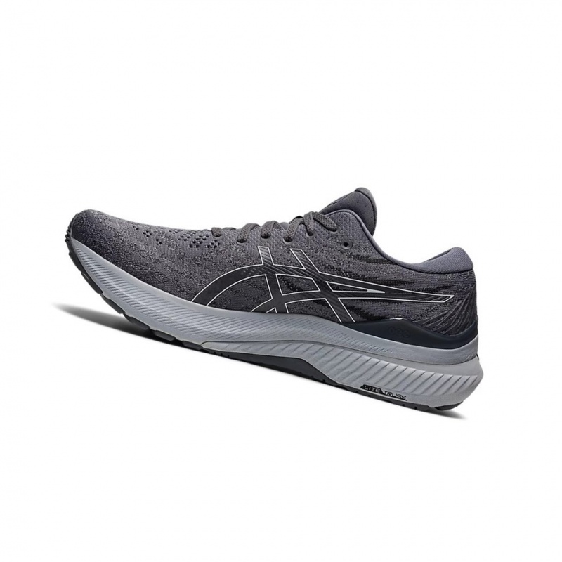 Chaussure Running Asics GEL-KAYANO 29 (4E) Homme Blanche | NTCW04857