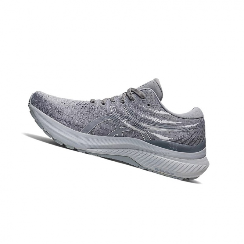 Chaussure Running Asics GEL-KAYANO 29 Femme Argent | VRZJ84031