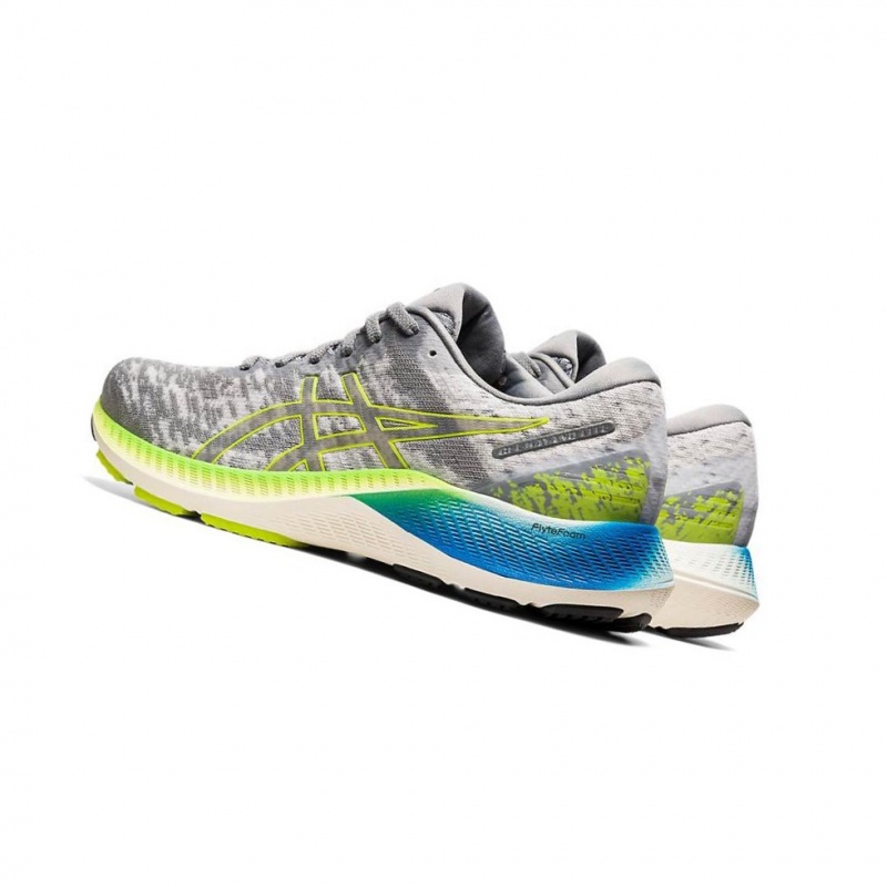 Chaussure Running Asics GEL-KAYANO LITE Homme Grise | WMXC04967