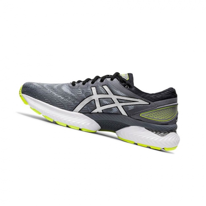 Chaussure Running Asics GEL-NIMBUS 22 LITE-SHOW Homme Grise | VSKA26984