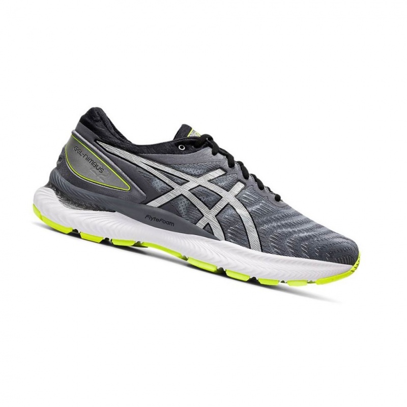 Chaussure Running Asics GEL-NIMBUS 22 LITE-SHOW Homme Grise | VSKA26984