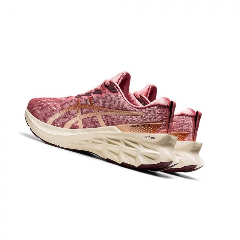 Chaussure Running Asics NOVABLAST 2 Femme Rose | MJGW08276