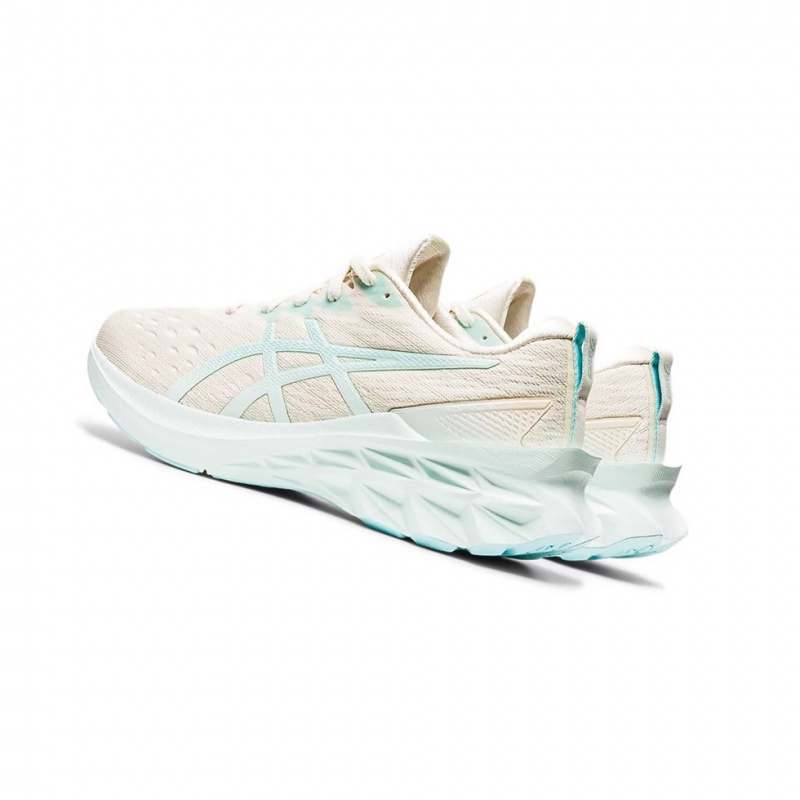 Chaussure Running Asics NOVABLAST 2 Femme Bleu | RQCU34685