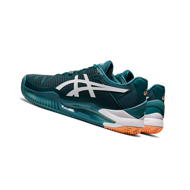 Chaussure Tennis Asics GEL-RESOLUTION 8 Clay Homme Blanche | JZKP16243