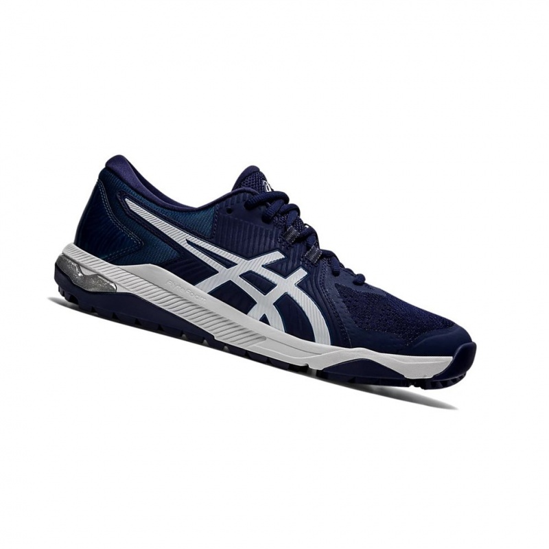 Chaussures De Golf Asics GEL-COURSE GLIDE Homme Grise | POJI45961