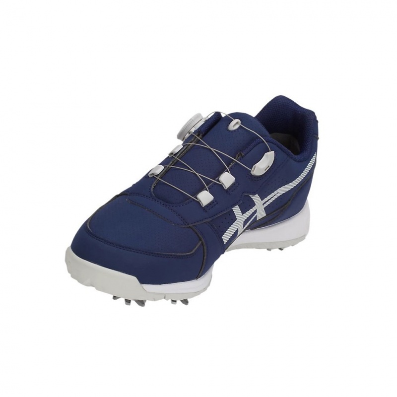 Chaussures De Golf Asics GEL-PRESHOT BOA Homme Grise | OWXC07682