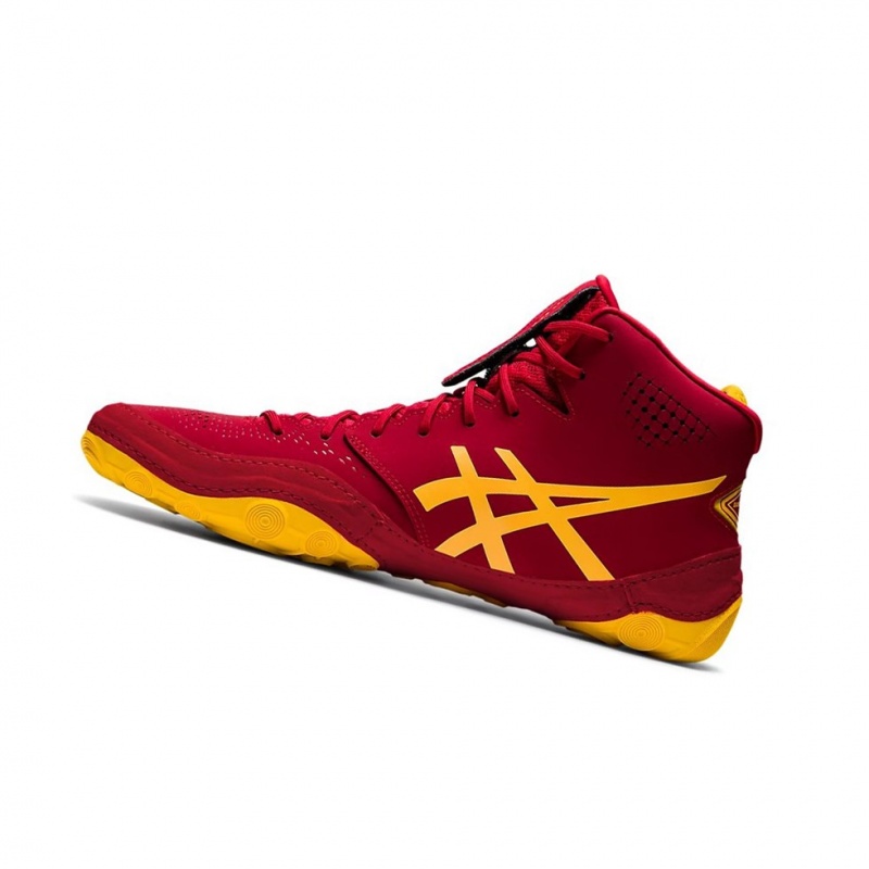 Chaussures De Lutte Asics DAN GABLE EVO 2 Homme Cranberry / Saffron | CAMH87962