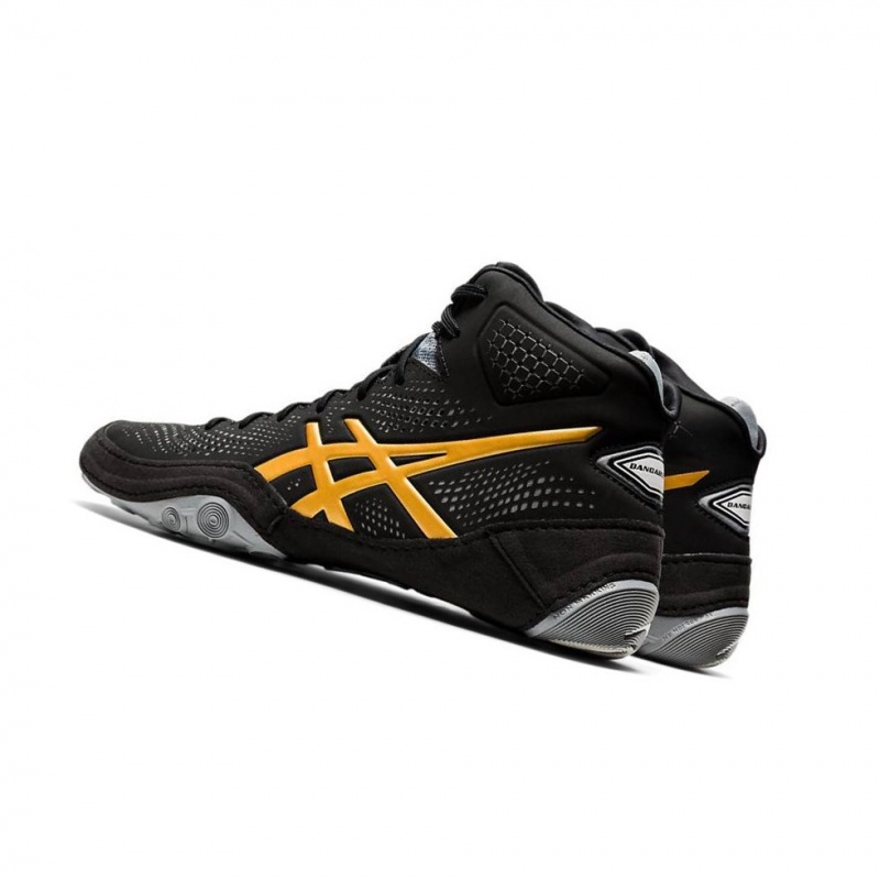 Chaussures De Lutte Asics DAN GABLE EVO 2 Homme Noir | YQKU83264