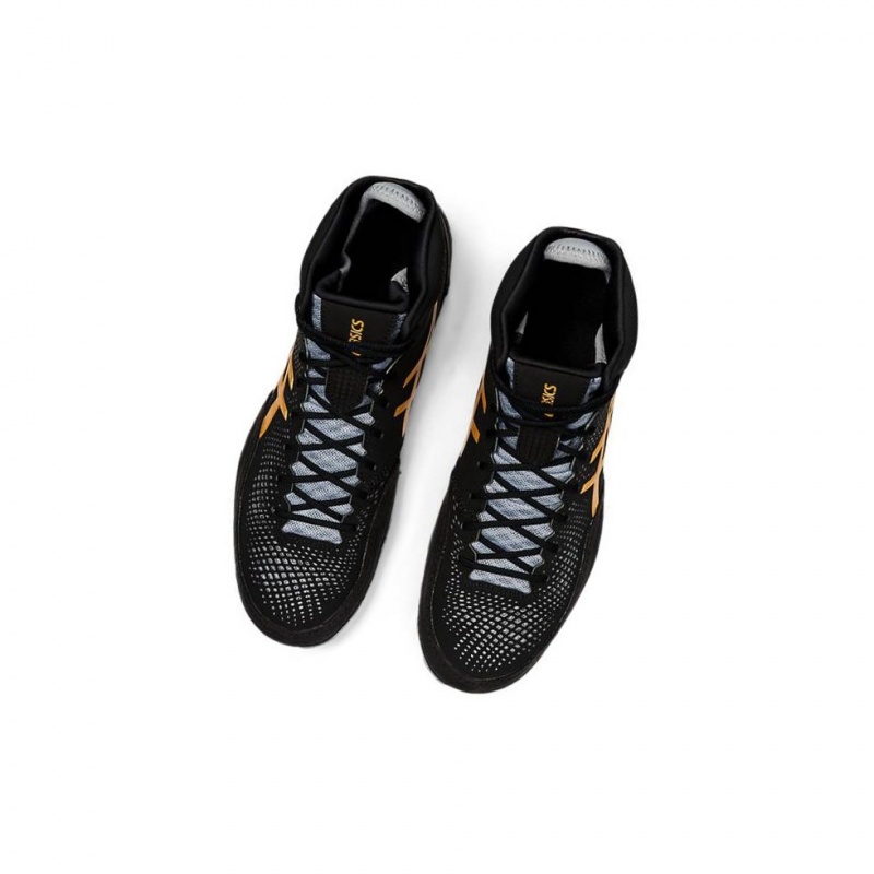 Chaussures De Lutte Asics DAN GABLE EVO 2 Homme Noir | YQKU83264